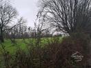 Acheter Maison Colonfay 220000 euros
