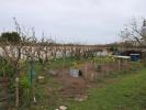 Land SAINT-GEORGES-D'OLERON 