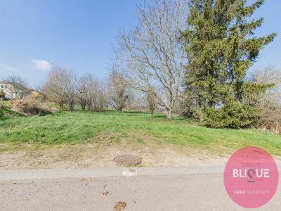 For sale Land BELLEAU  54