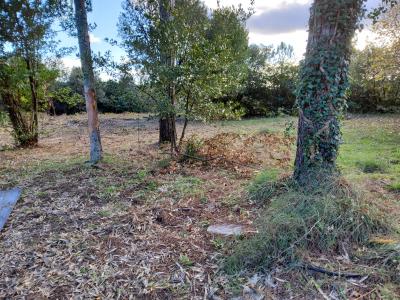 Vente Terrain SAINT-JULIEN-LES-ROSIERS 30340