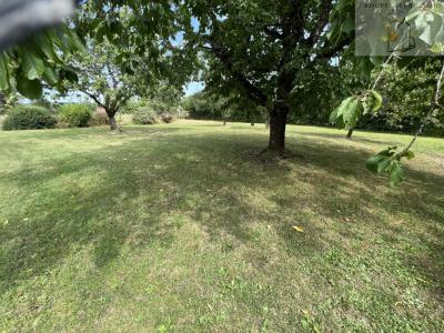 photo For sale House CLAIRVAUX-LES-LACS 39