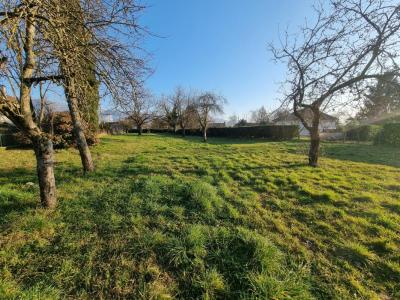 For sale Land SAINT-VERAND  38