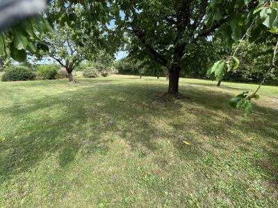 photo For sale House CLAIRVAUX-LES-LACS 39