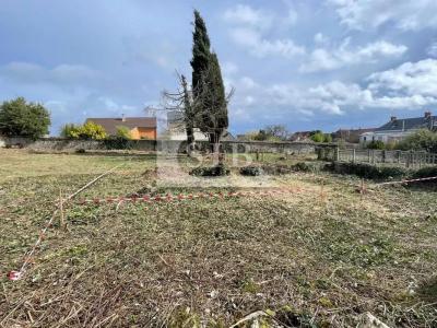 photo For sale Land VILLE-DU-BOIS 91