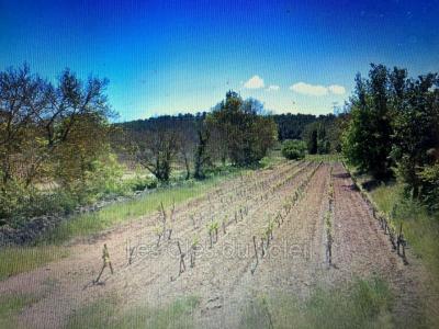 photo For sale Land LUC 83
