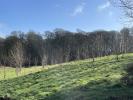 Annonce Vente Terrain Balleroy
