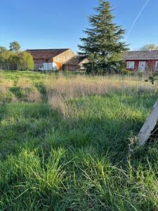 For sale Land BURGAUD  31