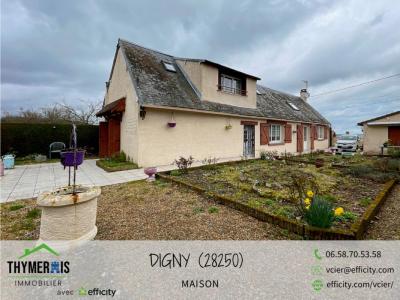 photo For sale House CHATEAUNEUF-EN-THYMERAIS 28
