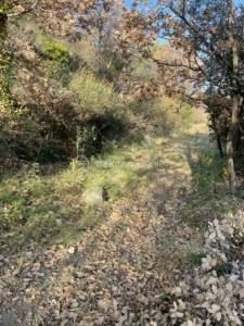 photo For sale Land CATLLAR 66