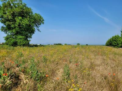 photo For sale Land JOZE 63