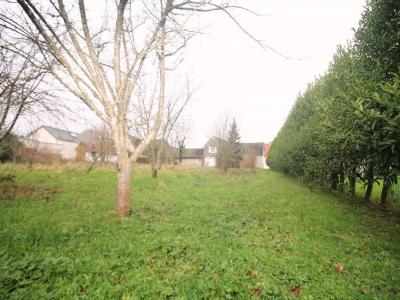 photo For sale House RUISSEAUVILLE 62