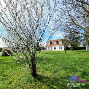 photo For sale Prestigious house MAGNY 36