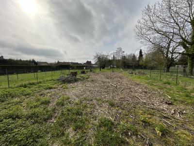 photo For sale Land HORNAING 59