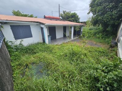 For sale House BRAS-PANON  974