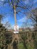 Acheter Maison Gommecourt 273302 euros