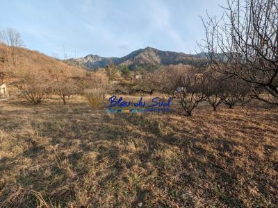 For sale Land FILLOLS  66