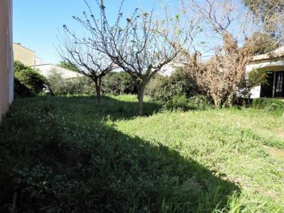 photo For sale Land FRONTIGNAN 34