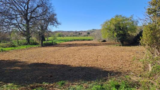 For sale Land GRAULHET  81