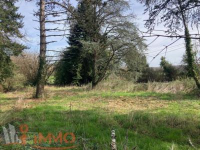 For sale Land SOUGERES-EN-PUISAYE  89