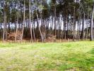 For sale Land Saint-symphorien  33113