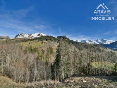For sale Land GRAND-BORNAND  74