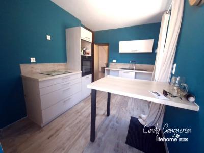 Vente Maison LUANT  36