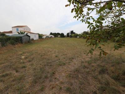 Vente Terrain SAINT-GEORGES-D'OLERON  17