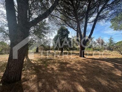 Vente Terrain SAIX 81710