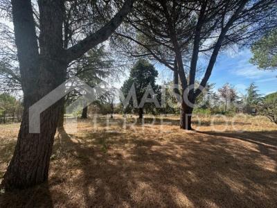 photo For sale Land SAIX 81