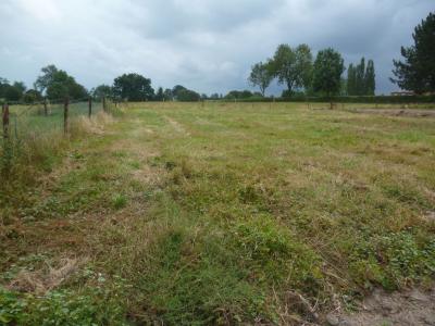 For sale Land MAROILLES  59