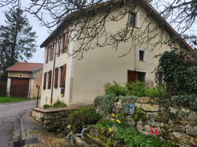 For sale Prestigious house LANEUVEVILLE-DERRIERE-FOUG  54