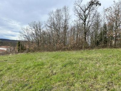 photo For sale Land LIZAC 82