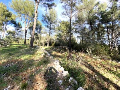 For sale Land SOLLIES-VILLE  83