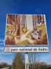 Vente Maison Saint-loup-sur-aujon  52210 7 pieces 151 m2