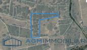 For sale Land Saint-andre  66690 4412 m2