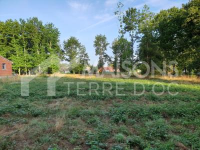 For sale Land SAINT-PIERRE-DE-LAGES  31