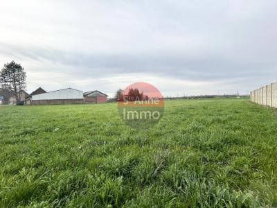 For sale Land CARREPUIS  80