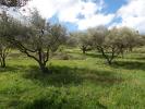 For sale Land Vagnas  07150 2500 m2