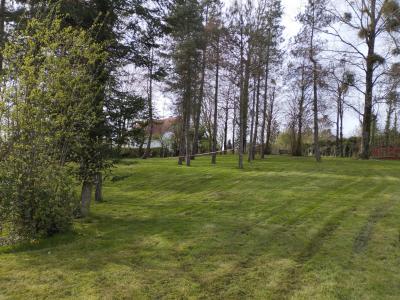 photo For sale Land CREMAREST 62