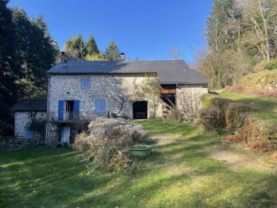 For sale Prestigious house PEYRAT-LE-CHATEAU  87