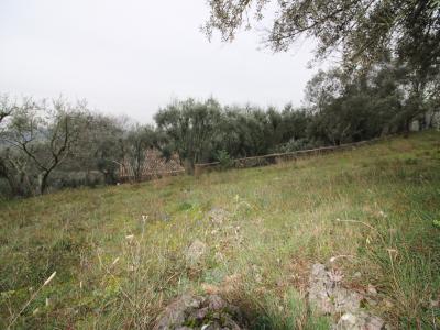 Vente Terrain UZES 30700