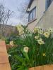 For sale House Montreuil 93100 86 m2 4 rooms
