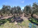 Annonce Vente Maison Argeles-sur-mer