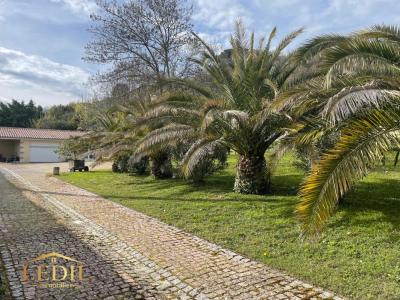 Vente Maison 4 pièces MOISSAC 82200