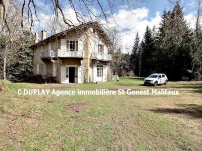For sale House PLANFOY  42