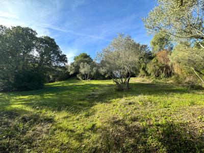 photo For sale Land SOMMIERES 30