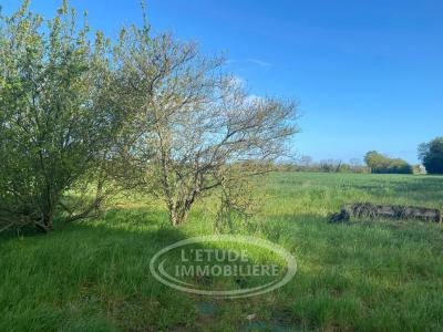 photo For sale House CARQUEFOU 44