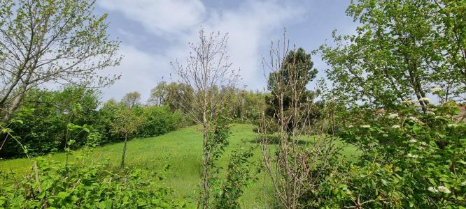 photo For sale Land CHATEAUNEUF-SUR-ISERE 26