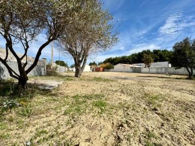 photo For sale Land POUSSAN 34