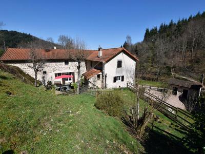 Vente Maison 10 pices SAINT-BONNET-DES-QUARTS 42310